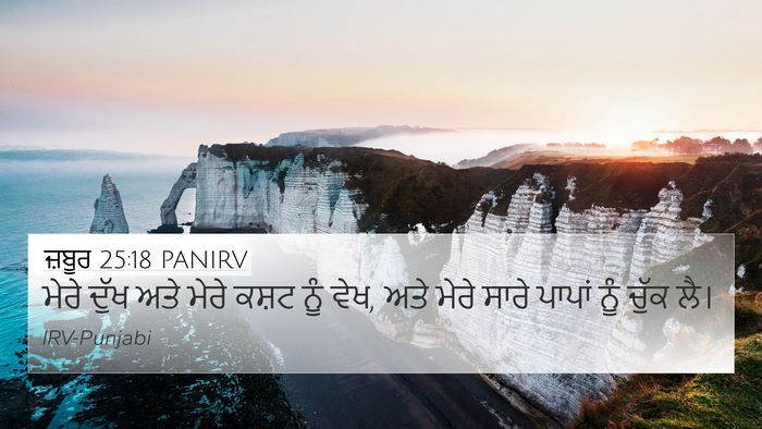 ਜ਼ਬੂਰ 25:18 PANIRV Bible Verse Image