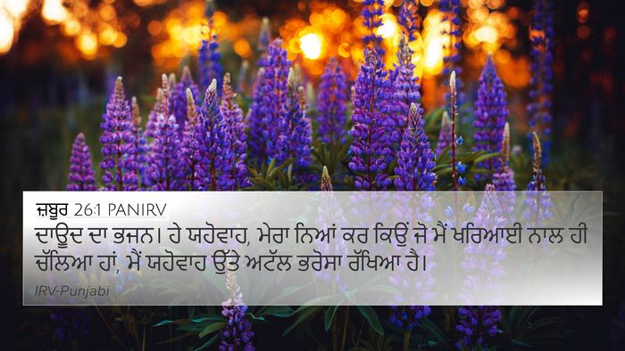 ਜ਼ਬੂਰ 26:1 PANIRV 4K Wallpaper - ਦਾਊਦ ਦਾ ਭਜਨ। ਹੇ - 4K Wallpaper Bible Verse