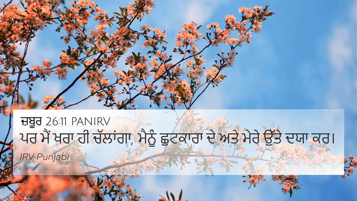 ਜ਼ਬੂਰ 26:11 PANIRV Bible Verse Image