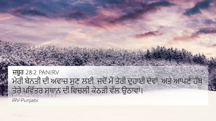 ਜ਼ਬੂਰ 28:2 PANIRV Bible Verse Image