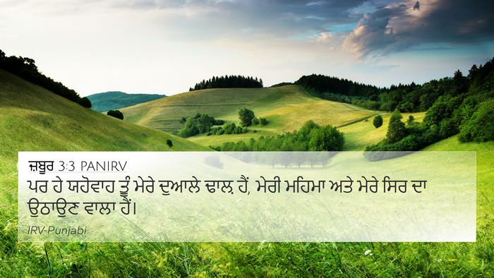 ਜ਼ਬੂਰ 3:3 PANIRV Bible Verse Image
