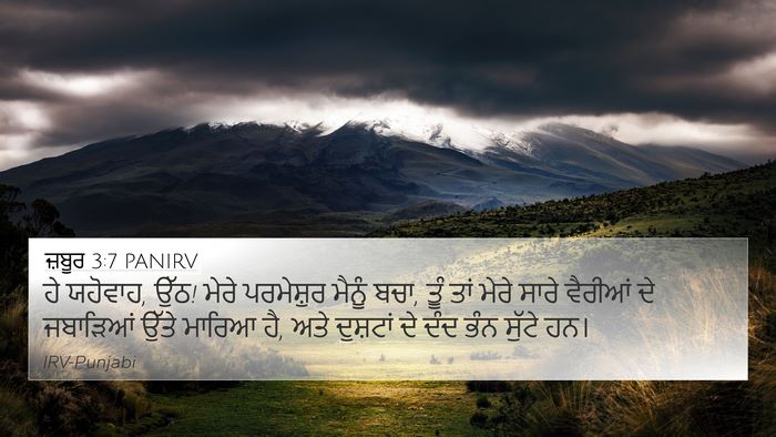 ਜ਼ਬੂਰ 3:7 PANIRV Bible Verse Image