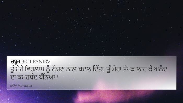 ਜ਼ਬੂਰ 30:11 PANIRV Bible Verse Image