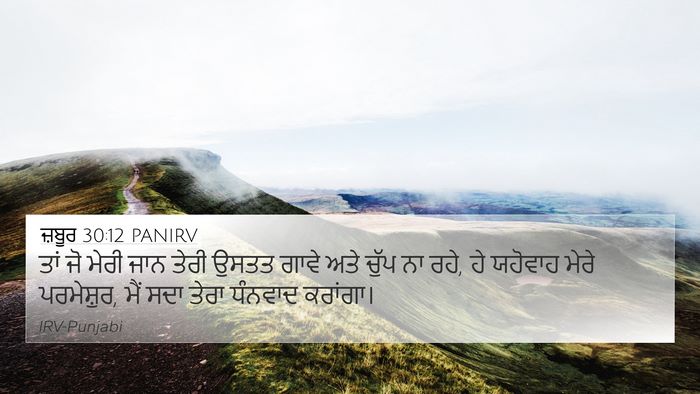 ਜ਼ਬੂਰ 30:12 PANIRV Bible Verse Image