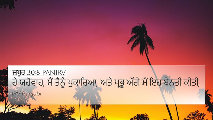 ਜ਼ਬੂਰ 30:8 PANIRV Bible Verse Image