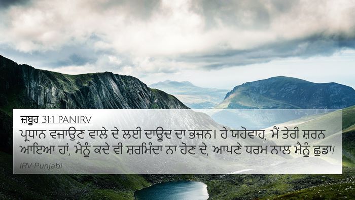ਜ਼ਬੂਰ 31:1 PANIRV Bible Verse Image