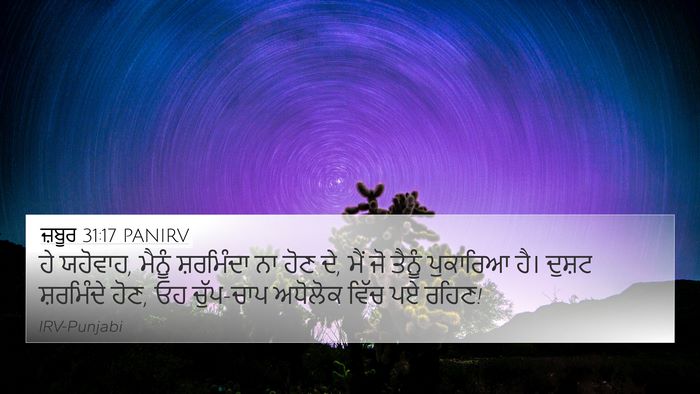 ਜ਼ਬੂਰ 31:17 PANIRV 4K Wallpaper - ਹੇ ਯਹੋਵਾਹ, ਮੈਨੂੰ - 4K Wallpaper Bible Verse