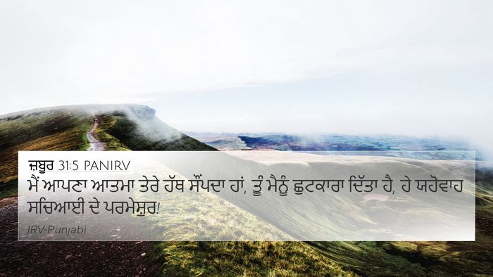 ਜ਼ਬੂਰ 31:5 PANIRV Bible Verse Image