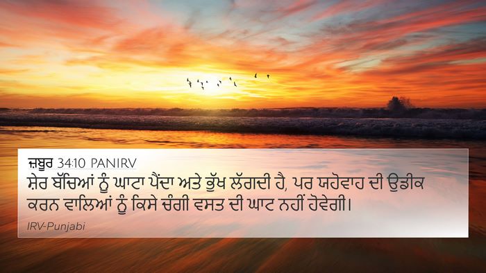 ਜ਼ਬੂਰ 34:10 PANIRV Bible Verse Image