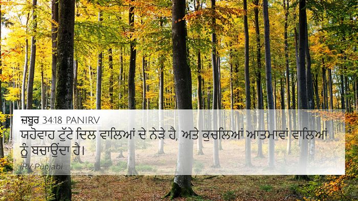 ਜ਼ਬੂਰ 34:18 PANIRV Bible Verse Image