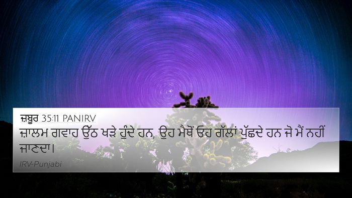 ਜ਼ਬੂਰ 35:11 PANIRV Bible Verse Image