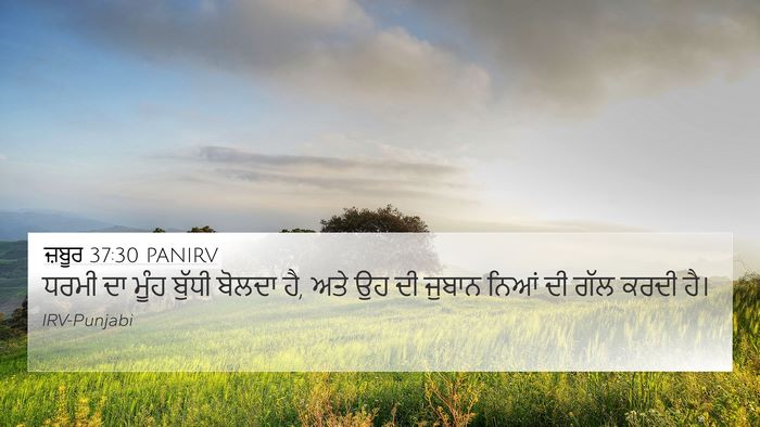 ਜ਼ਬੂਰ 37:30 PANIRV Bible Verse Image