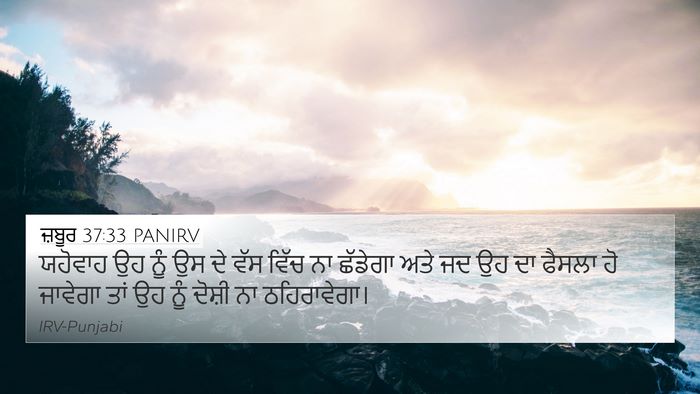 ਜ਼ਬੂਰ 37:33 PANIRV Bible Verse Image