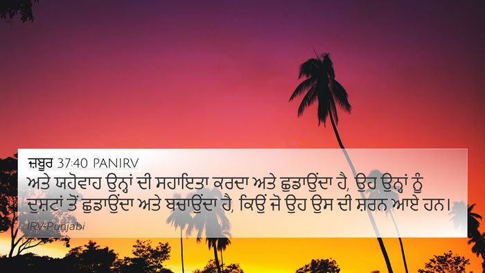 ਜ਼ਬੂਰ 37:40 PANIRV Bible Verse Image