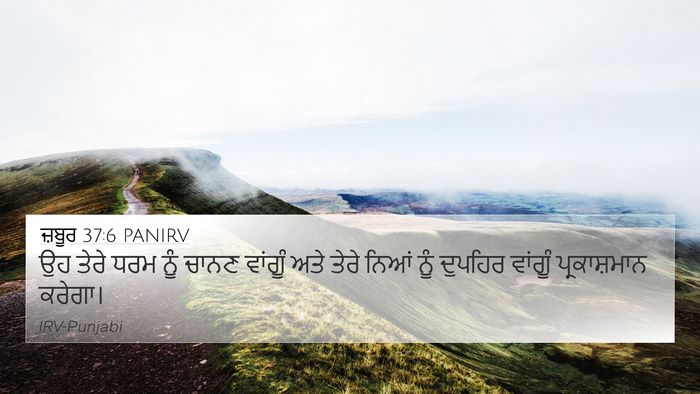 ਜ਼ਬੂਰ 37:6 PANIRV Bible Verse Image