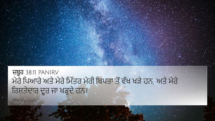 ਜ਼ਬੂਰ 38:11 PANIRV Bible Verse Image