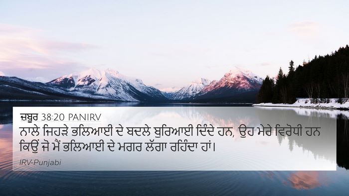ਜ਼ਬੂਰ 38:20 PANIRV Bible Verse Image