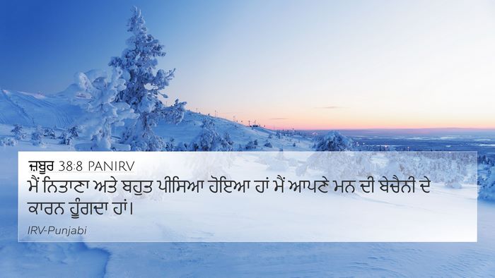 ਜ਼ਬੂਰ 38:8 PANIRV 4K Wallpaper - ਮੈਂ ਨਿਤਾਣਾ ਅਤੇ - 4K Wallpaper Bible Verse