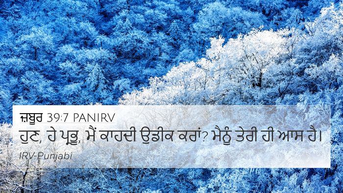 ਜ਼ਬੂਰ 39:7 PANIRV Bible Verse Image