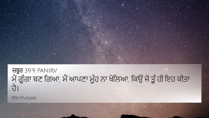 ਜ਼ਬੂਰ 39:9 PANIRV Bible Verse Image