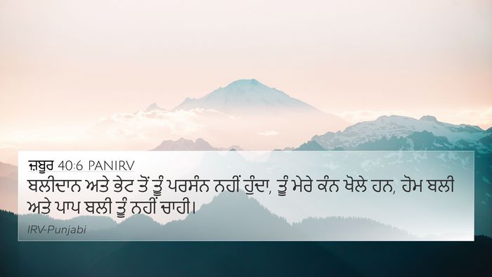 ਜ਼ਬੂਰ 40:6 PANIRV Bible Verse Image