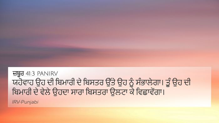 ਜ਼ਬੂਰ 41:3 PANIRV Bible Verse Image