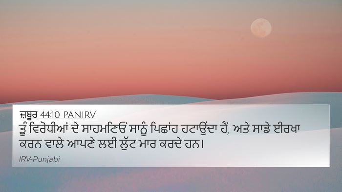 ਜ਼ਬੂਰ 44:10 PANIRV Bible Verse Image