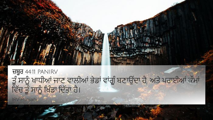 ਜ਼ਬੂਰ 44:11 PANIRV Bible Verse Image