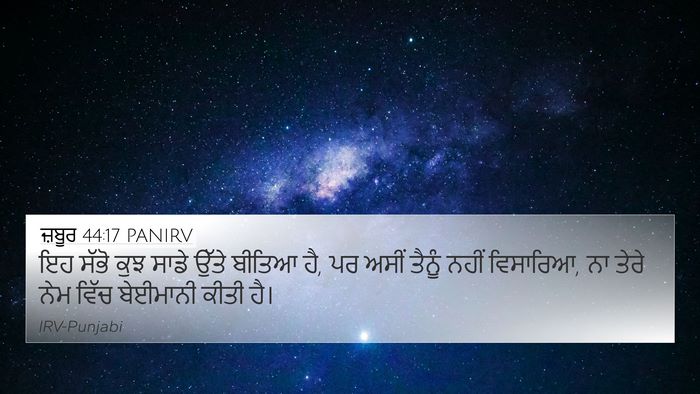 ਜ਼ਬੂਰ 44:17 PANIRV Bible Verse Image