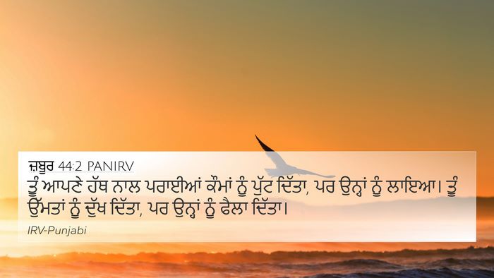 ਜ਼ਬੂਰ 44:2 PANIRV Bible Verse Image