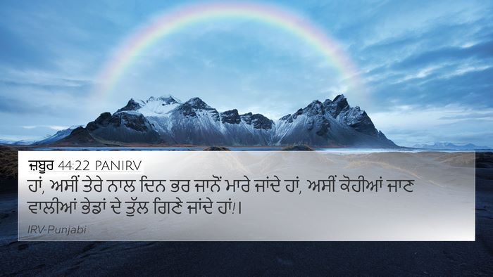 ਜ਼ਬੂਰ 44:22 PANIRV Bible Verse Image