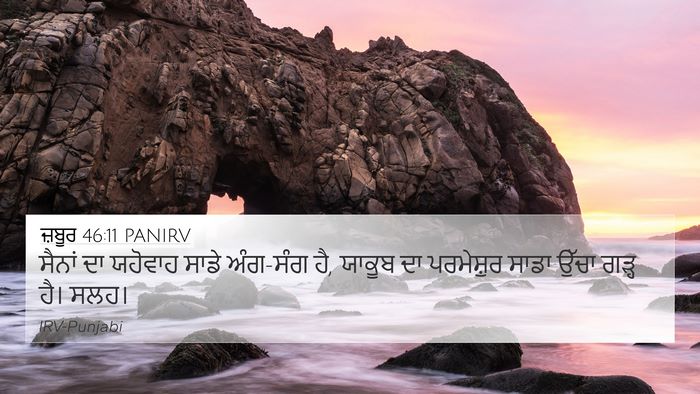 ਜ਼ਬੂਰ 46:11 PANIRV Bible Verse Image