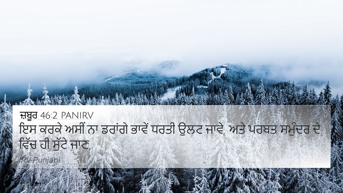 ਜ਼ਬੂਰ 46:2 PANIRV Bible Verse Image