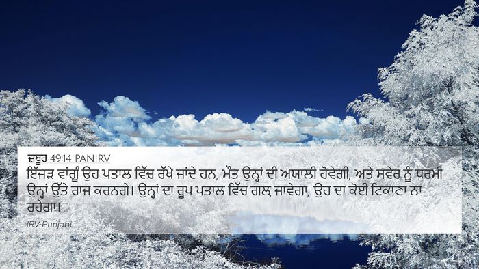 ਜ਼ਬੂਰ 49:14 PANIRV Bible Verse Image