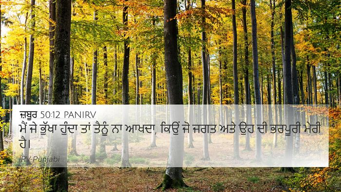ਜ਼ਬੂਰ 50:12 PANIRV Bible Verse Image