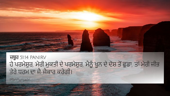 ਜ਼ਬੂਰ 51:14 PANIRV Bible Verse Image