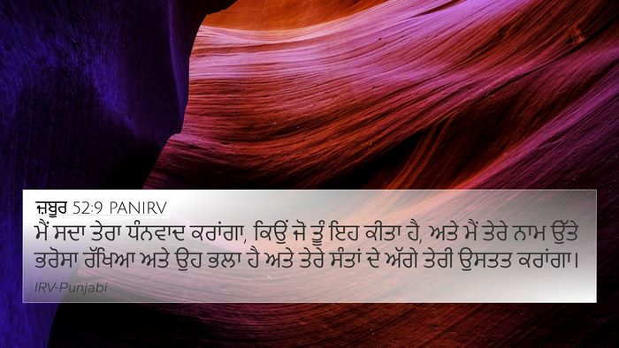 ਜ਼ਬੂਰ 52:9 PANIRV Bible Verse Image