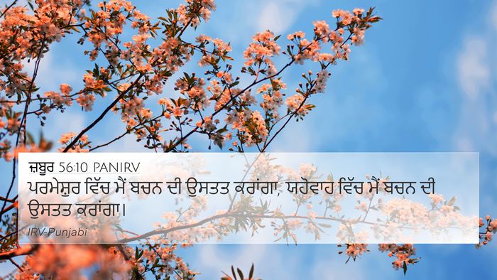 ਜ਼ਬੂਰ 56:10 PANIRV Bible Verse Image
