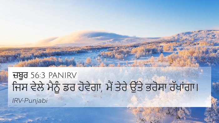 ਜ਼ਬੂਰ 56:3 PANIRV Bible Verse Image