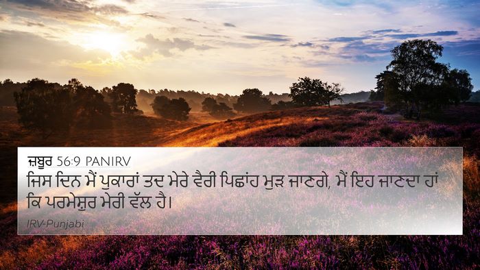 ਜ਼ਬੂਰ 56:9 PANIRV Bible Verse Image