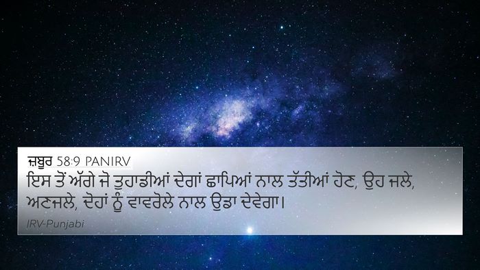 ਜ਼ਬੂਰ 58:9 PANIRV Bible Verse Image