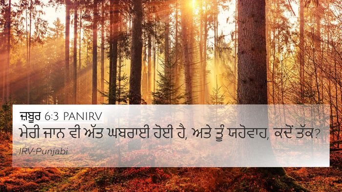 ਜ਼ਬੂਰ 6:3 PANIRV Bible Verse Image