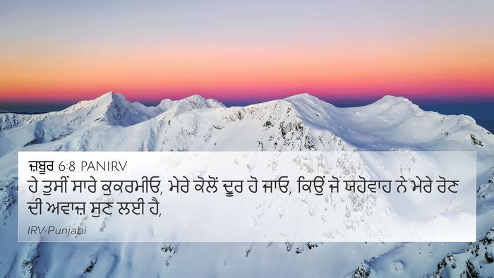 ਜ਼ਬੂਰ 6:8 PANIRV Bible Verse Image