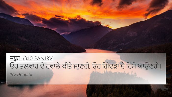 ਜ਼ਬੂਰ 63:10 PANIRV Bible Verse Image