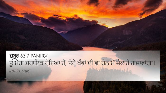 ਜ਼ਬੂਰ 63:7 PANIRV Bible Verse Image