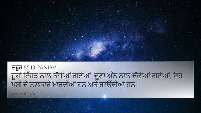 ਜ਼ਬੂਰ 65:13 PANIRV Bible Verse Image