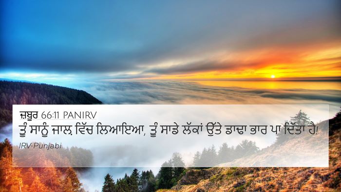 ਜ਼ਬੂਰ 66:11 PANIRV Bible Verse Image