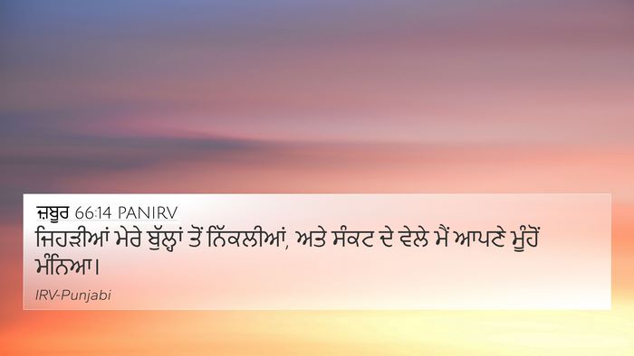 ਜ਼ਬੂਰ 66:14 PANIRV Bible Verse Image