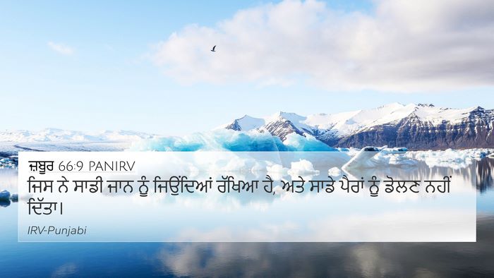 ਜ਼ਬੂਰ 66:9 PANIRV Bible Verse Image