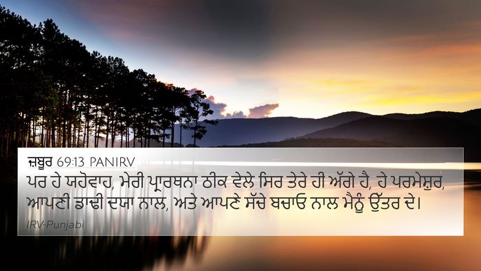 ਜ਼ਬੂਰ 69:13 PANIRV Bible Verse Image